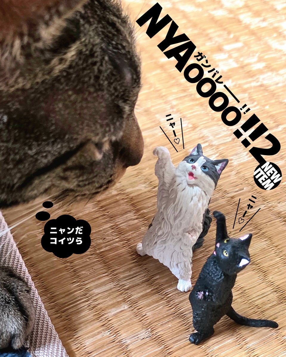 新入荷情報！// またまたガチャガチャが入荷しました