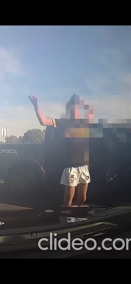 Mark__CITI's tweet photo. @InsaneReality Why did short shorts jump. What a bird. https://t.co/5ePHMXJrf8