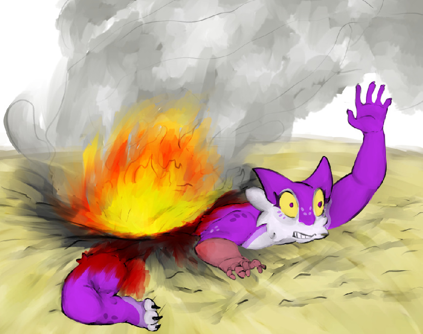 yanri risk tweet media