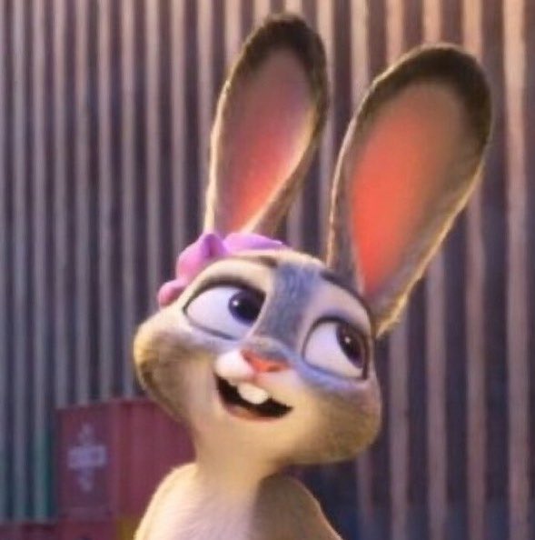 ZoopToopis 🔜 FWA tweet media