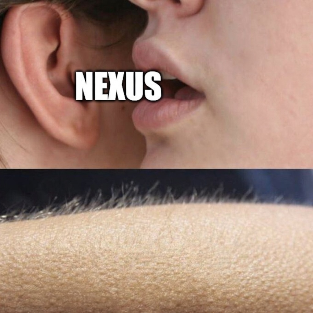 The only word you need to hear this cycle. 🌀

While the crowd is chasing ghosts, the OGs are already listening to the future. 

The skyline is raising, and it smells like NEXUS 120. 🦾

Read the blueprint or get left behind. 

🗝️ nexus-120.gitbook.io

#NEXUS120 #Web3 #Alpha