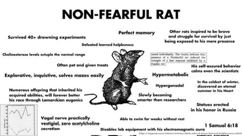 Remember, friends 

COURAGE IS CONTAGIOUS.