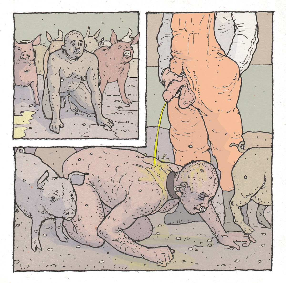 Pote82722945's tweet photo. This is the 13th of 16 posts that tell the story of the pig. The handlers, realizing that humiliation and violence gave the pig pleasure, decided to test its limits and whipped it forcefully and brutally, and even then the pig bleated with an erection. https://t.co/Vi1q1yEd28 https://t.co/Pk6vR9FLJA