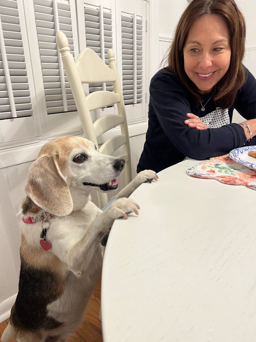 #tbt ⁦<a href="/snoopy_girl1229/">🇺🇸♥️ Snoopy Girl ♥️🇺🇸</a>⁩ we kan c u dis summer paws krosssd 🐾🌹🤗