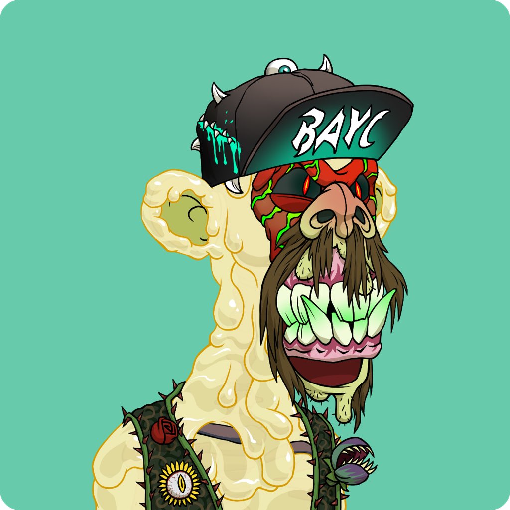 Rupp 🐶 tweet media