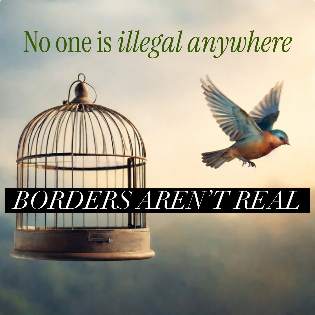 Dr Meghan Roekle (J’ana) tweet media