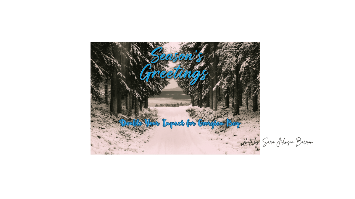 Save Georgian Bay tweet media