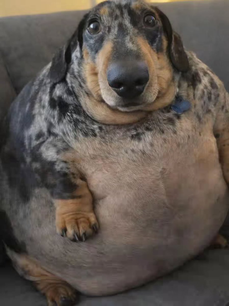 Tá comendo o q aí?