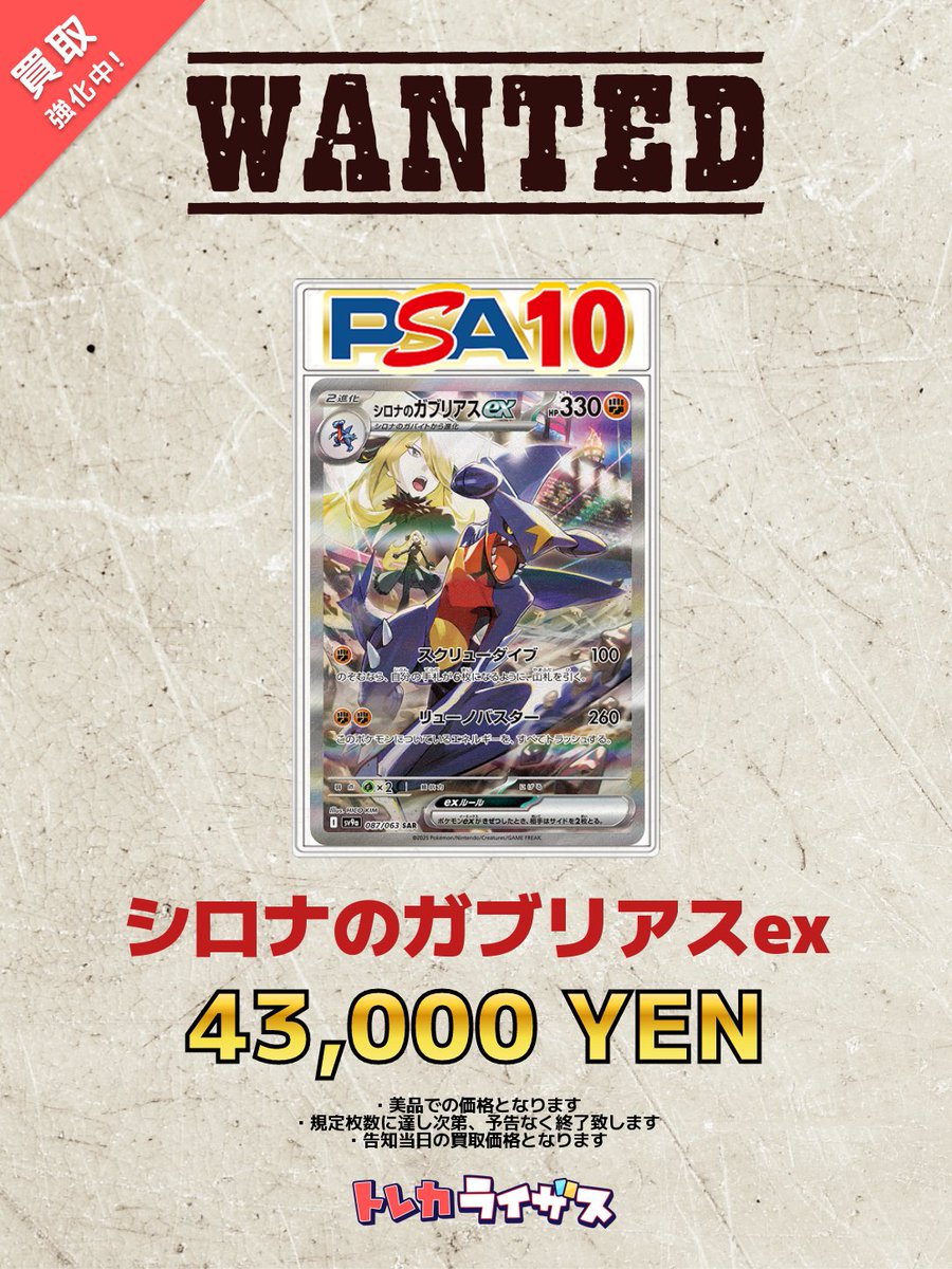 買取強化情報】 🦈✨🦈✨🦈✨🦈✨🦈✨🦈✨🦈 シロナのガブリアスex