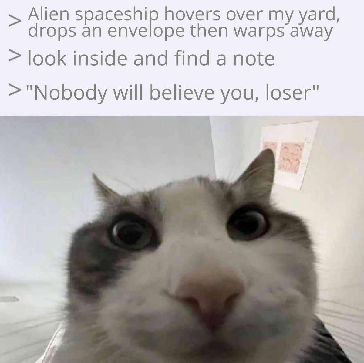 Adrian Dittmann (@adriandittmann) on Twitter photo 