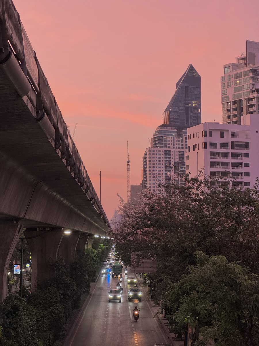 _SOYEA_h's tweet image. น่ารักๆเลยล่ะ 🥺🤲🌸