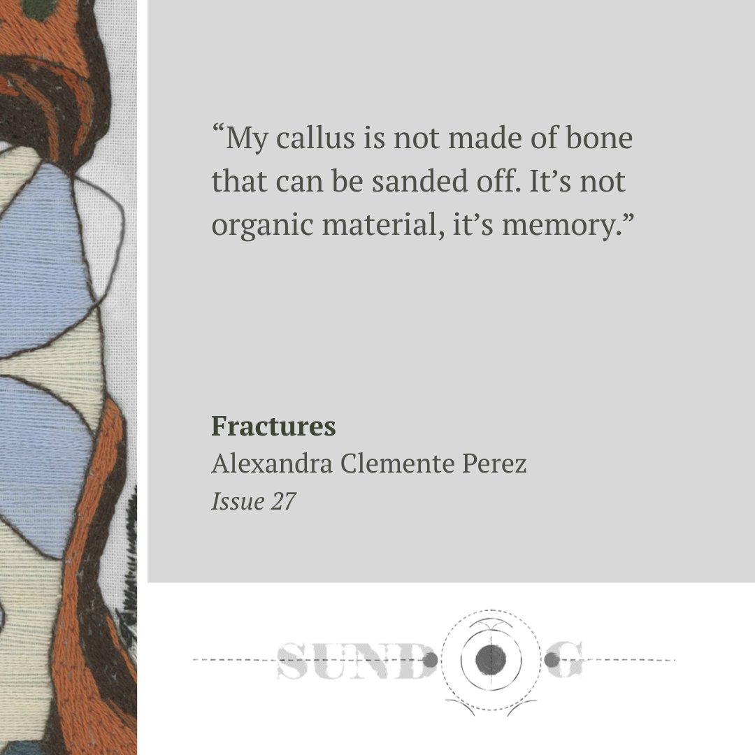 Sundog Lit tweet media