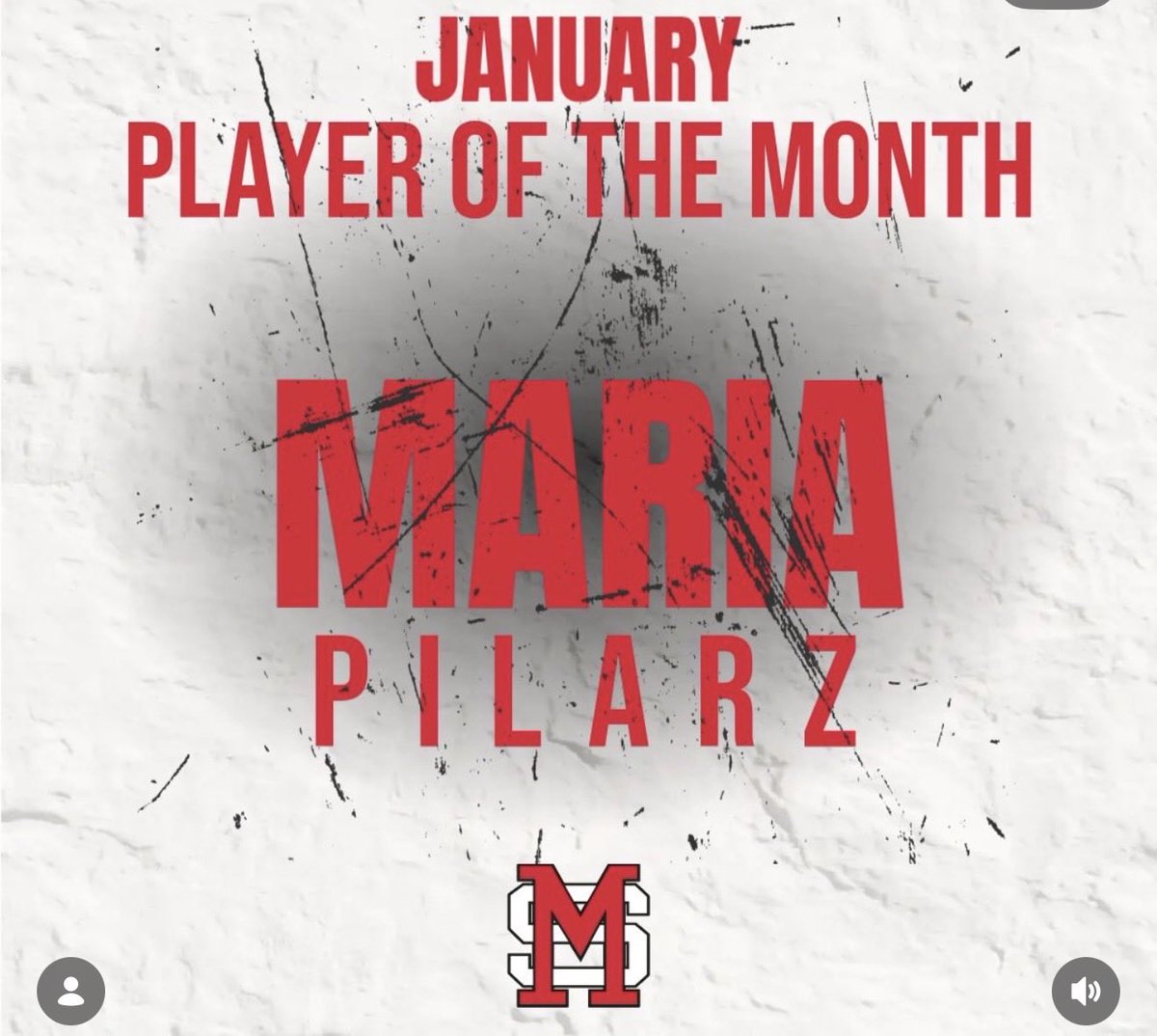 Michigan Girls High School Hockey League tweet media