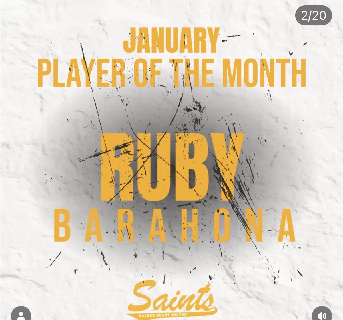 Michigan Girls High School Hockey League tweet media