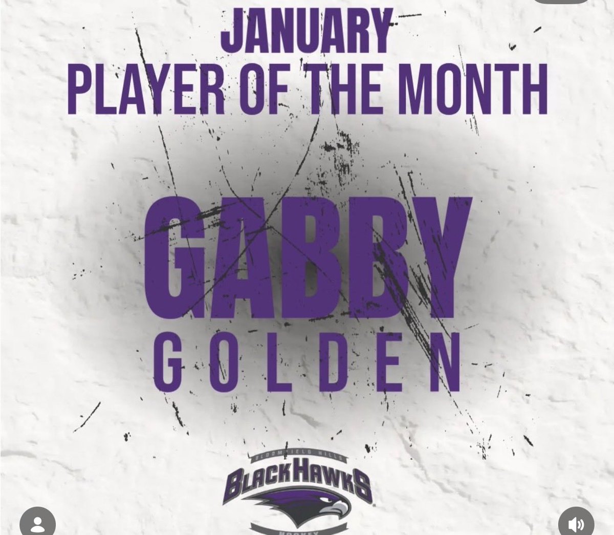 Michigan Girls High School Hockey League tweet media