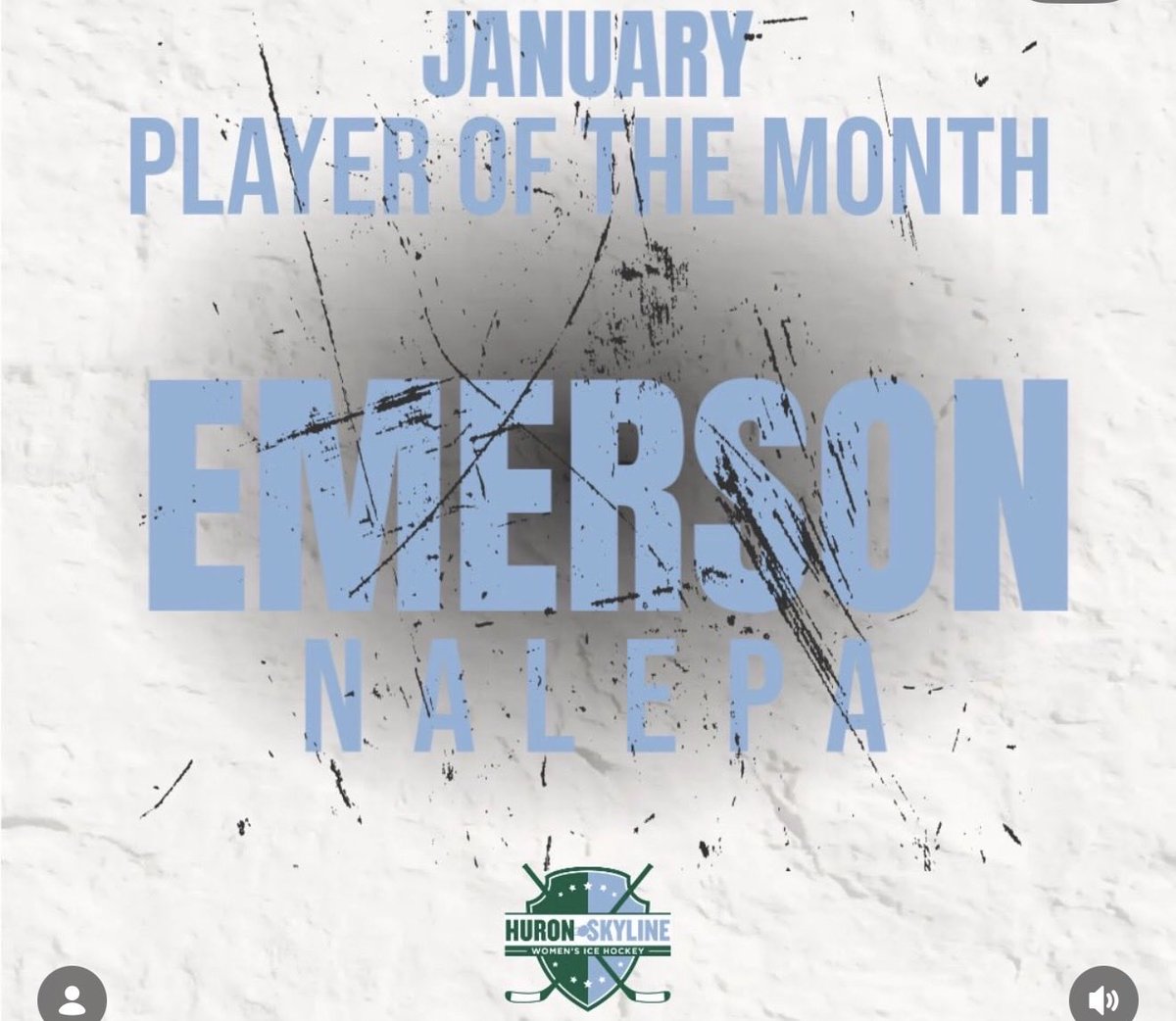 Michigan Girls High School Hockey League tweet media