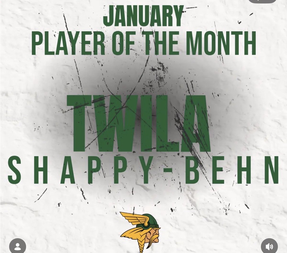 Michigan Girls High School Hockey League tweet media