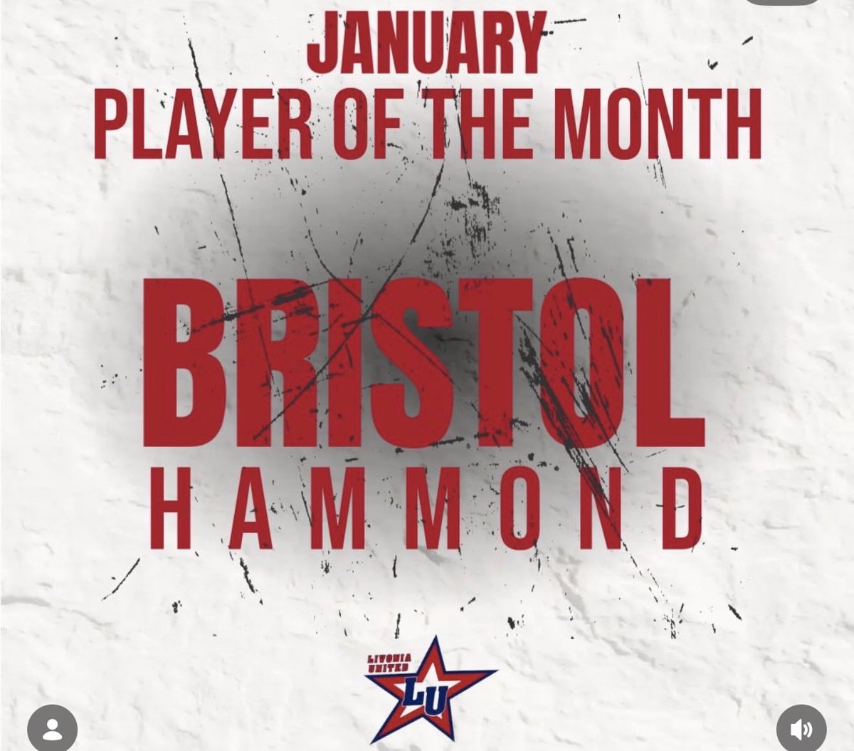 Michigan Girls High School Hockey League tweet media