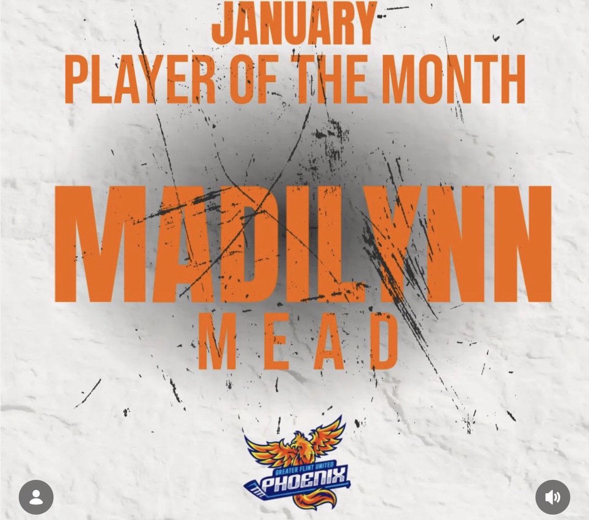 Michigan Girls High School Hockey League tweet media