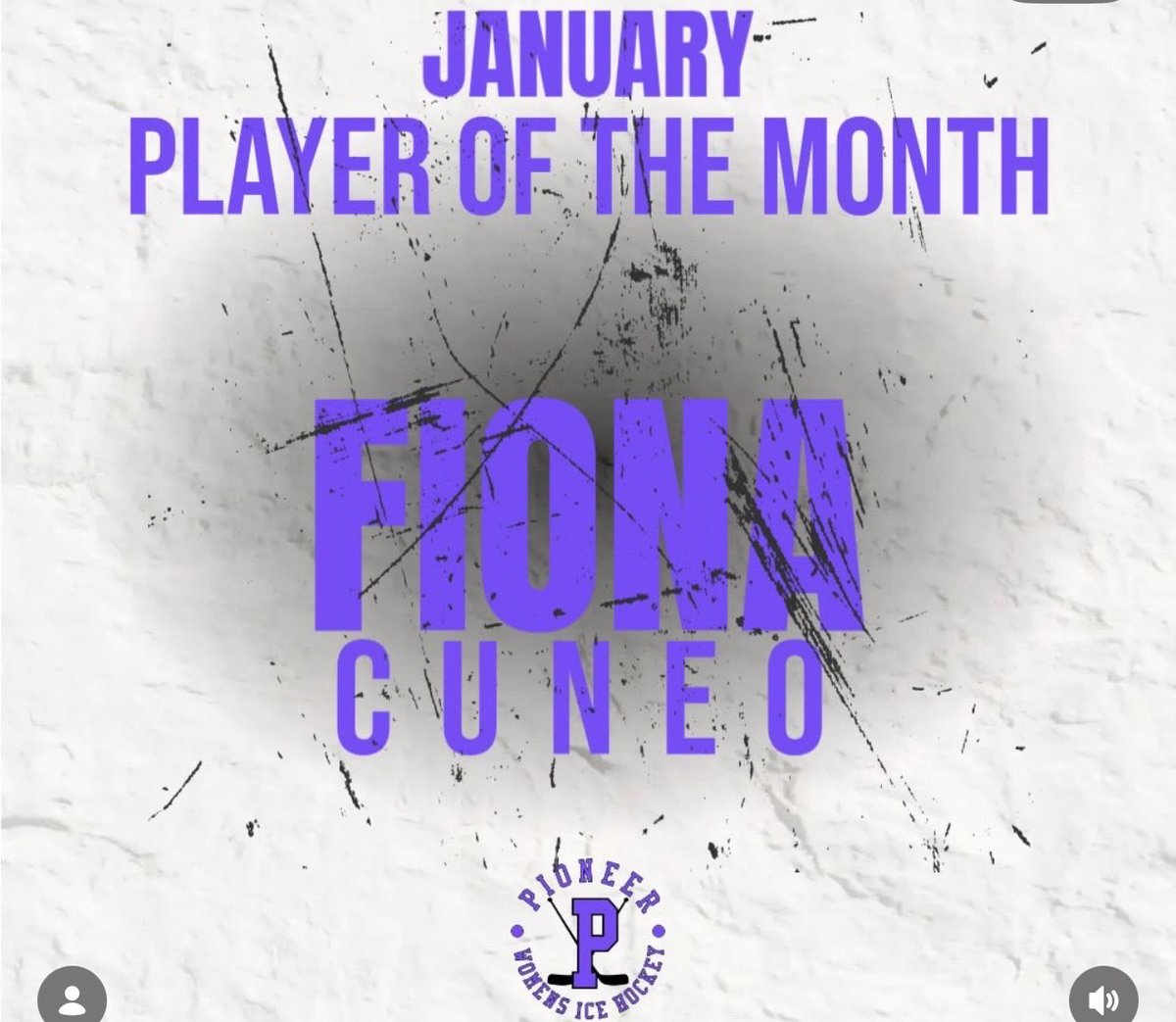 Michigan Girls High School Hockey League tweet media