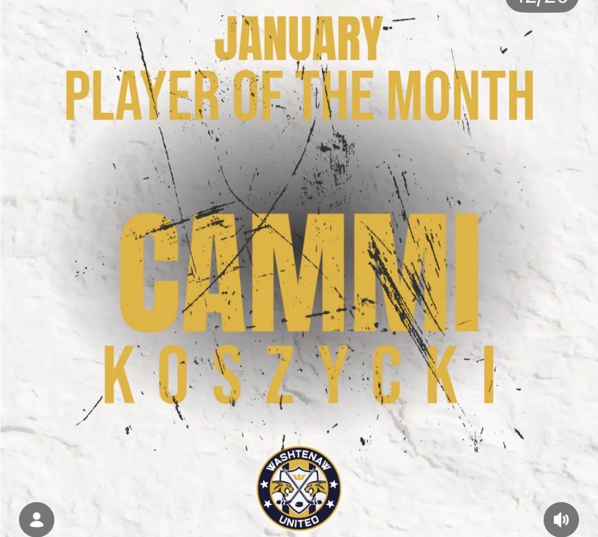 Michigan Girls High School Hockey League tweet media