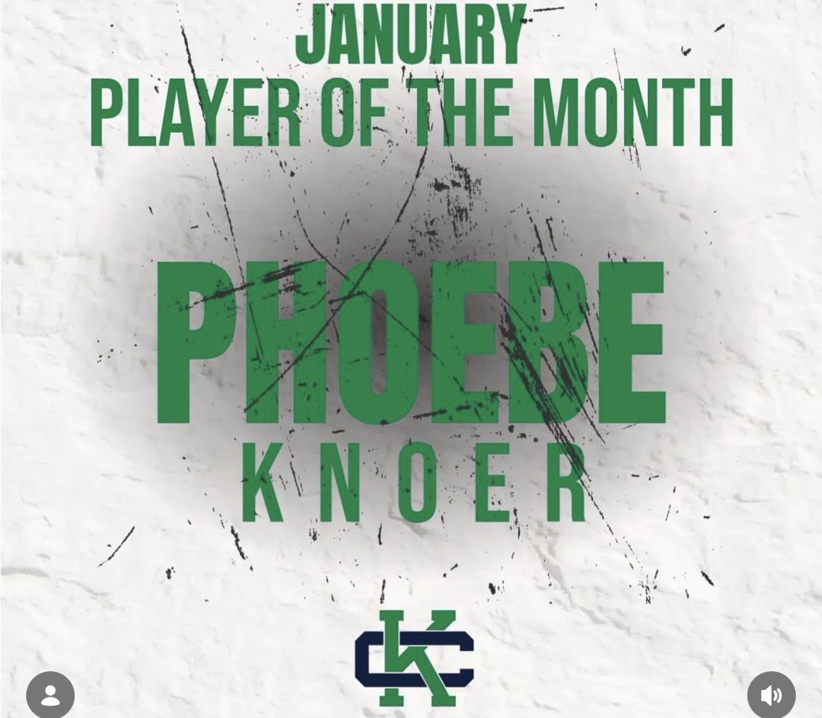 Michigan Girls High School Hockey League tweet media