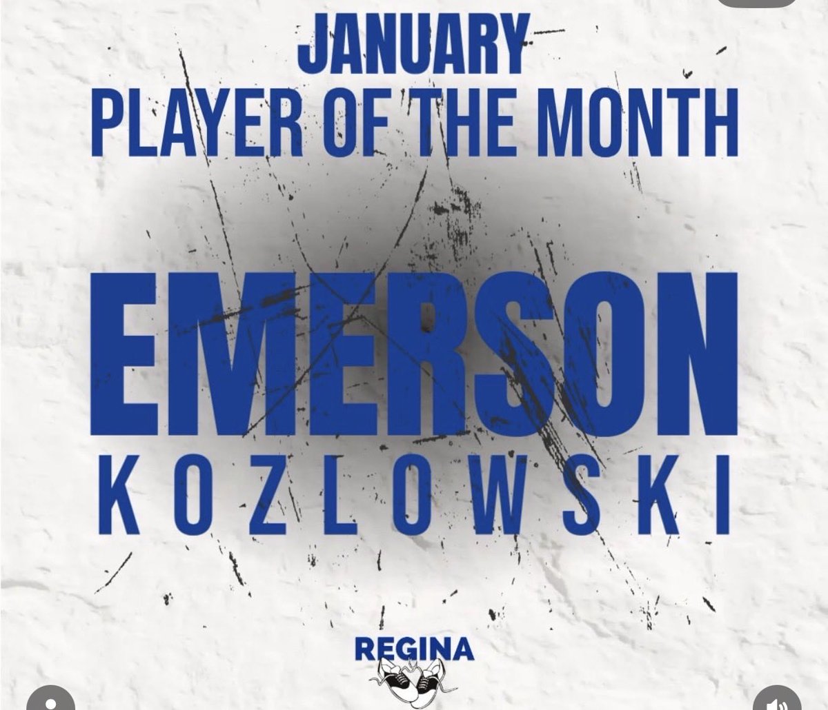 Michigan Girls High School Hockey League tweet media