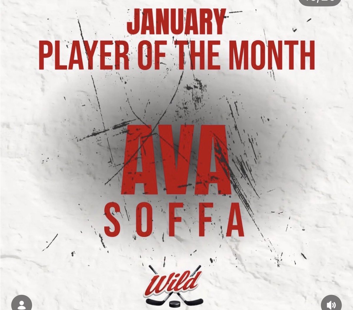 Michigan Girls High School Hockey League tweet media