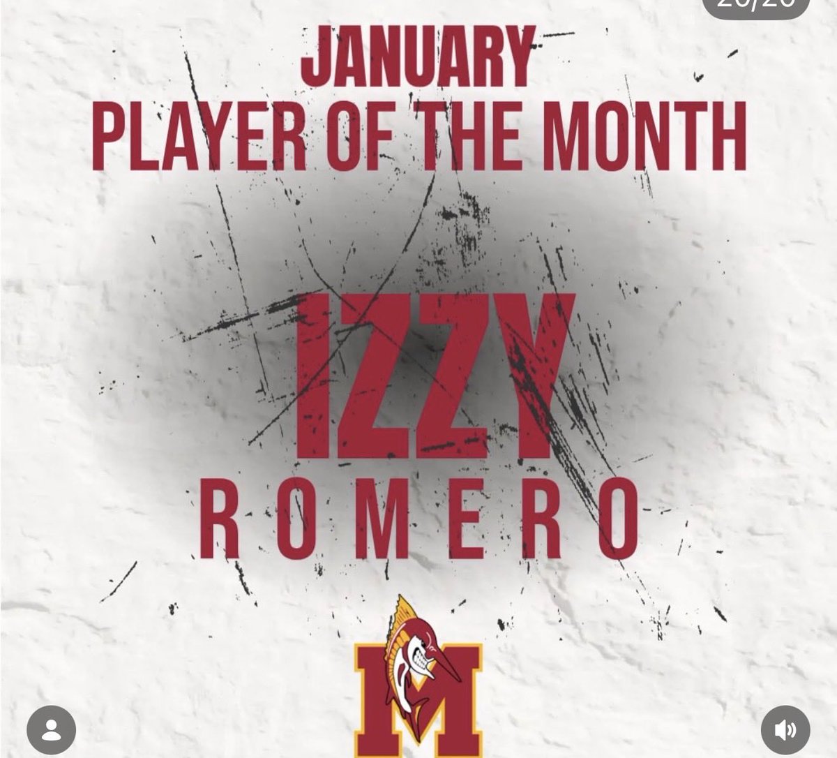 Michigan Girls High School Hockey League tweet media