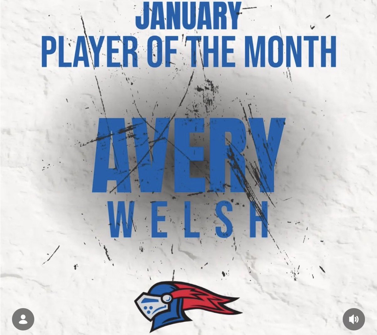 Michigan Girls High School Hockey League tweet media