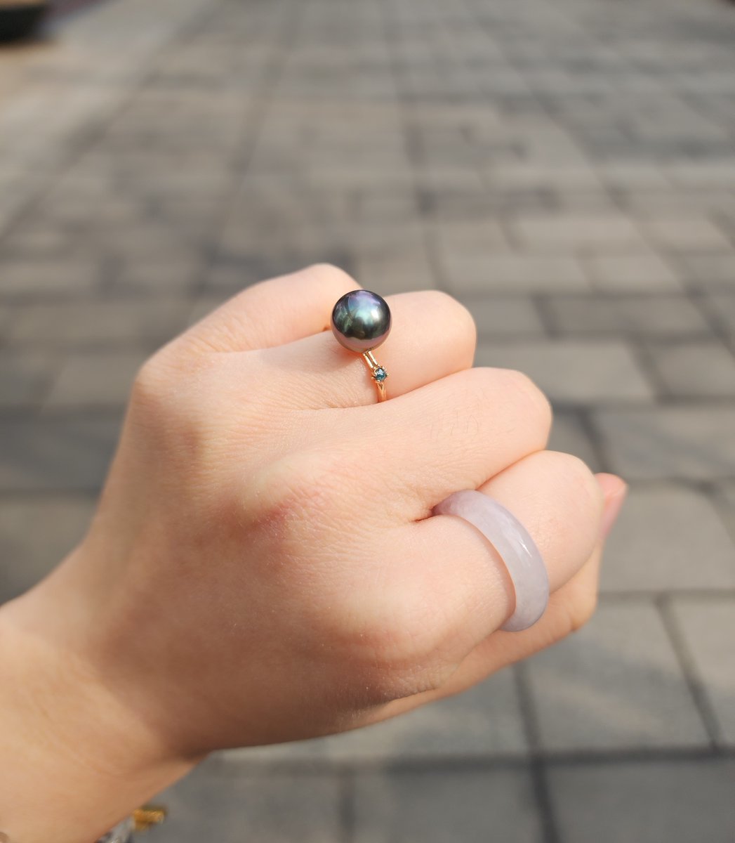 타히티 흑진주 피코크🎃