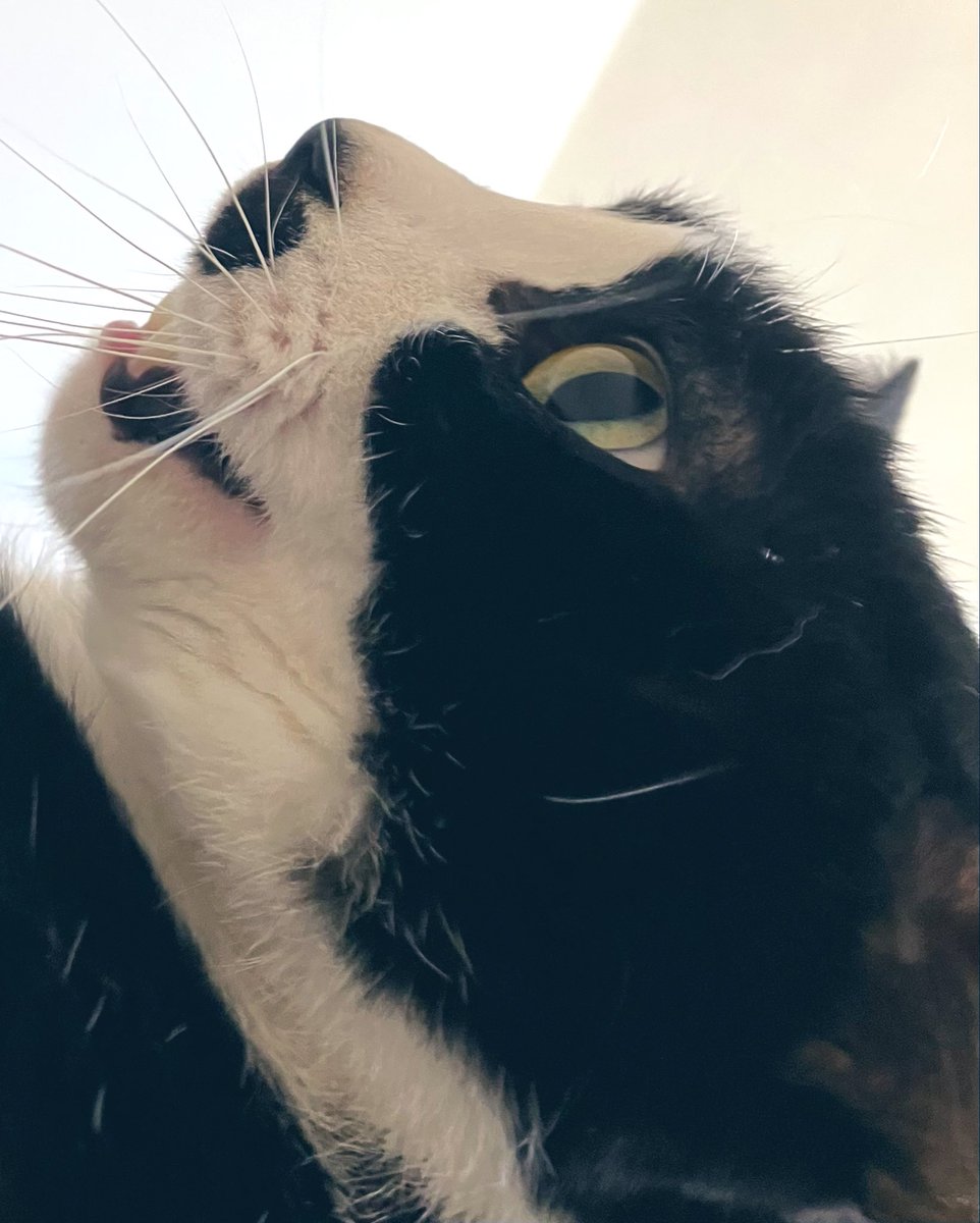 木曜日ランチタイム🍙
今週もあと少し
がんばろニャ