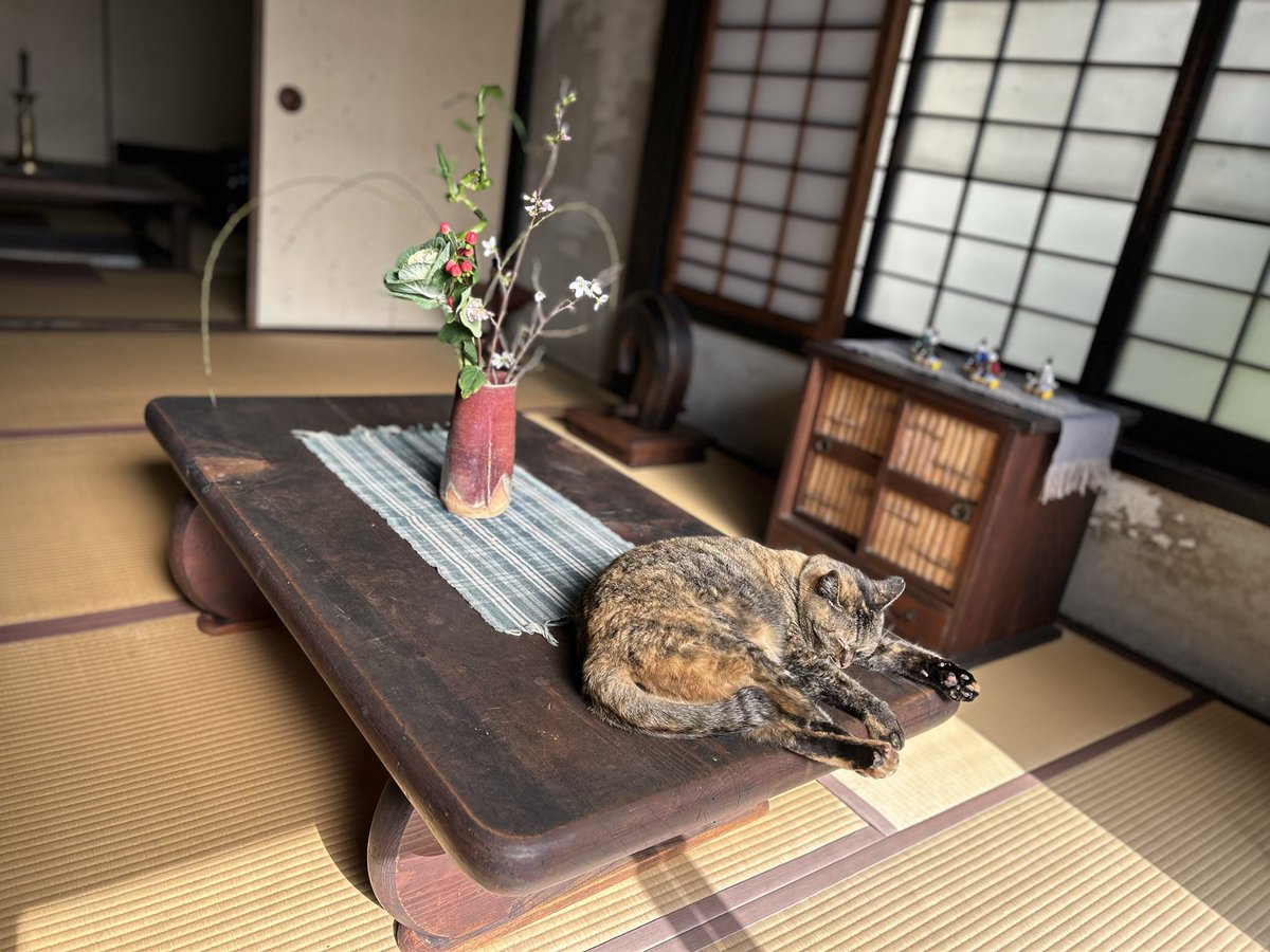 河井寛次郎記念館

京都訪問の際にはお見逃しなく。

九州の文化ガイドはこちらからお問い合わせください。

wanderjpn.com

#千年の旅　
#トラベルデザイン
#九州旅行