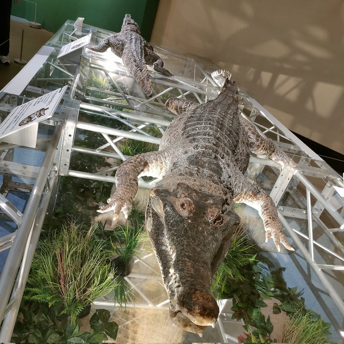 電車の中から送ったリクエストヽ(=´▽`=)ﾉ♪
ありがとうございます！
只今科博です。
#まちゃお765
ドライブ
佐野元春 &amp; THE HOBO KING BAND