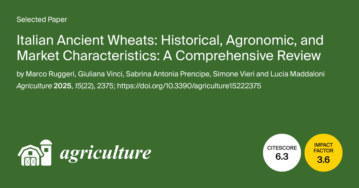 AgricultureMdpi's tweet photo. 🎈 Newly Published Paper in #AgricultureMdpi
🌾 Italian Ancient Wheats: Historical, #Agronomic, and Market Characteristics: A Comprehensive Review
by Marco Ruggeri et al.
🖱️Read more about this research:
https://t.co/hsrXE9gC4i
#wheats #cereals #biodiversity https://t.co/D7tzlUkjIH