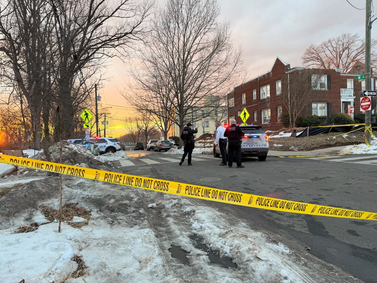 Allison Papson tweet media