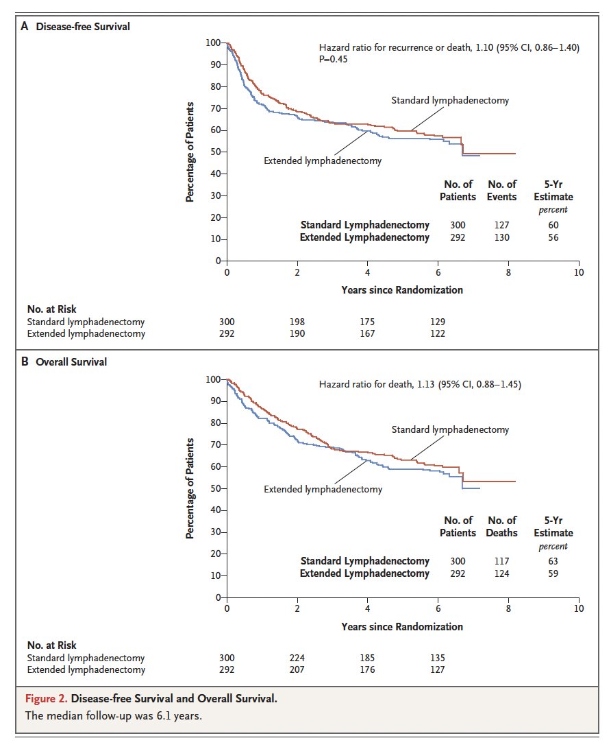 Drew Moghanaki tweet media