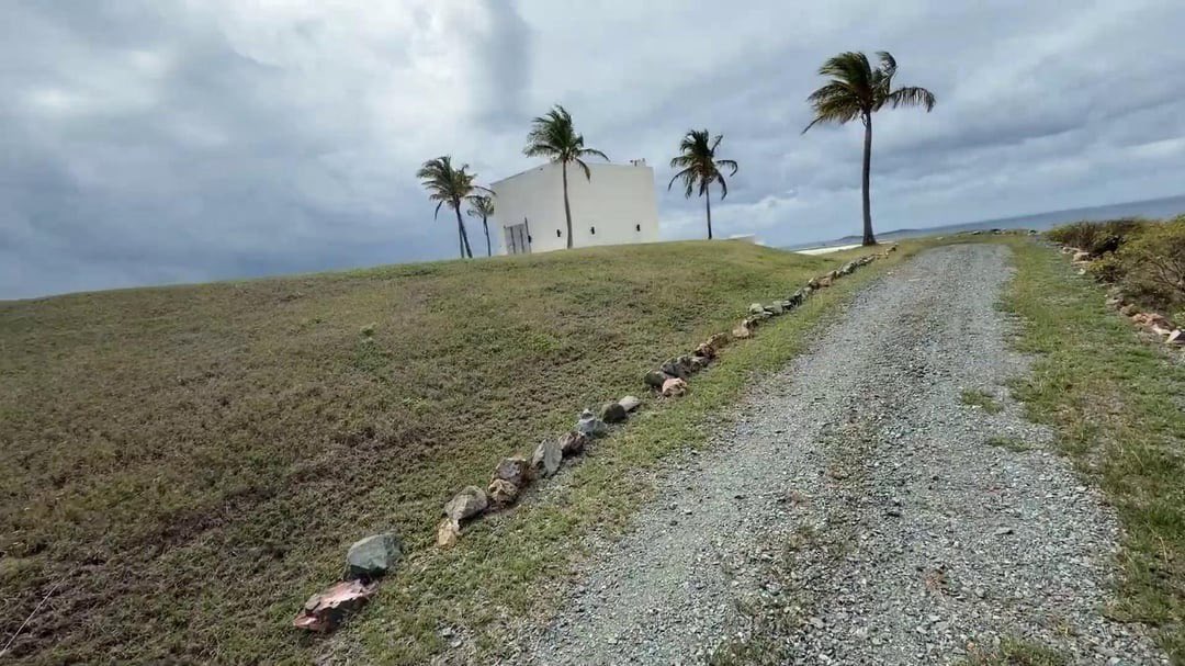 Kristi Yamaguccimane tweet media