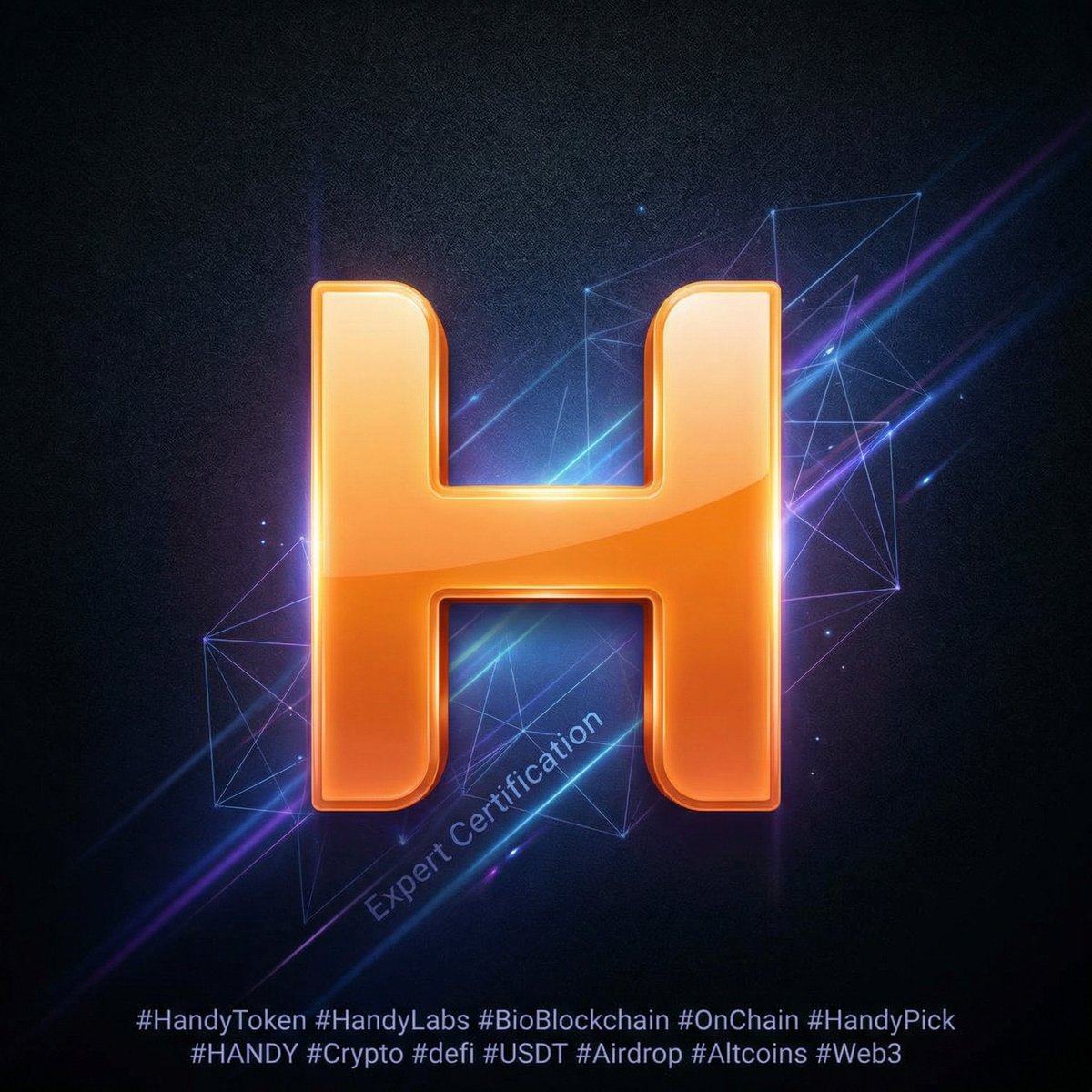 HandyOfficial tweet media