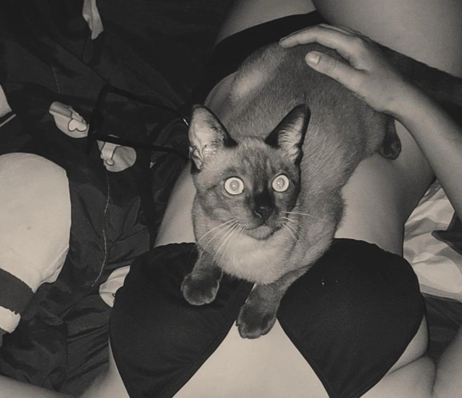 เหนื่อยใจหว่ะ🖤 tweet media