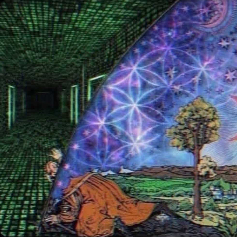 When you finally escape the matrix only to find a more matrixy matrix called the matrices.