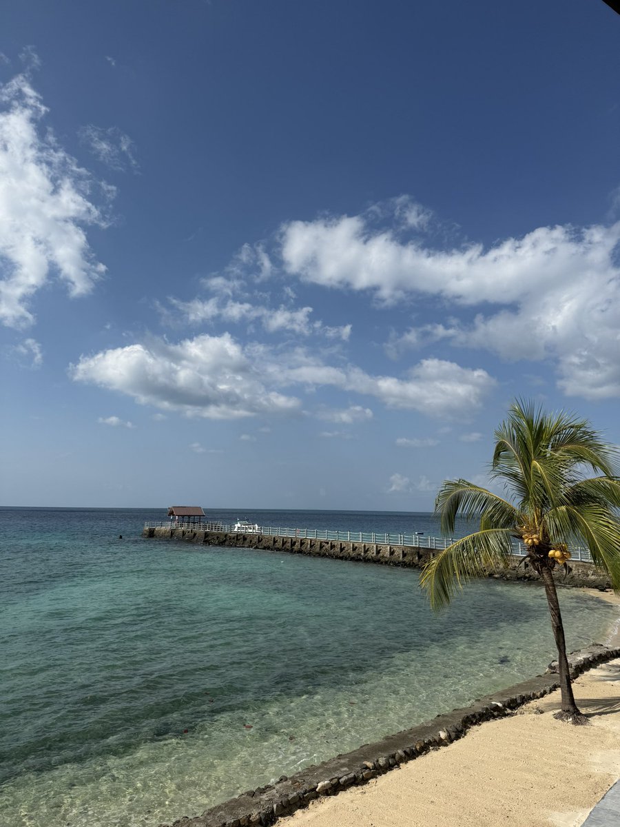 Crypto Zeinab tweet media