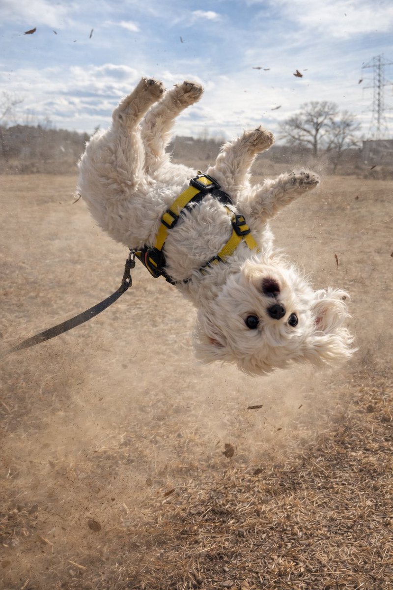 Perfect Parker tweet media