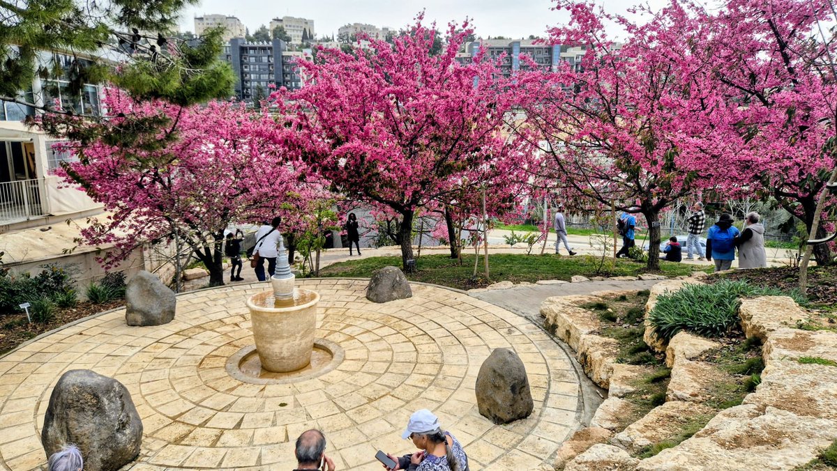 イスラエル大使館 ｜Israel in Japan tweet media