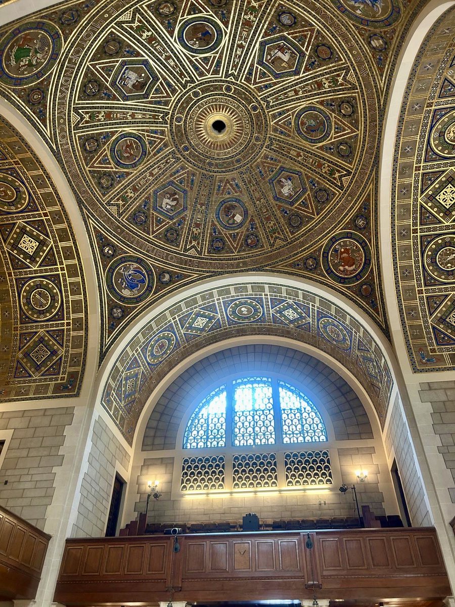 NoRILLA - Mixed-Reality Learning (AI) tweet media