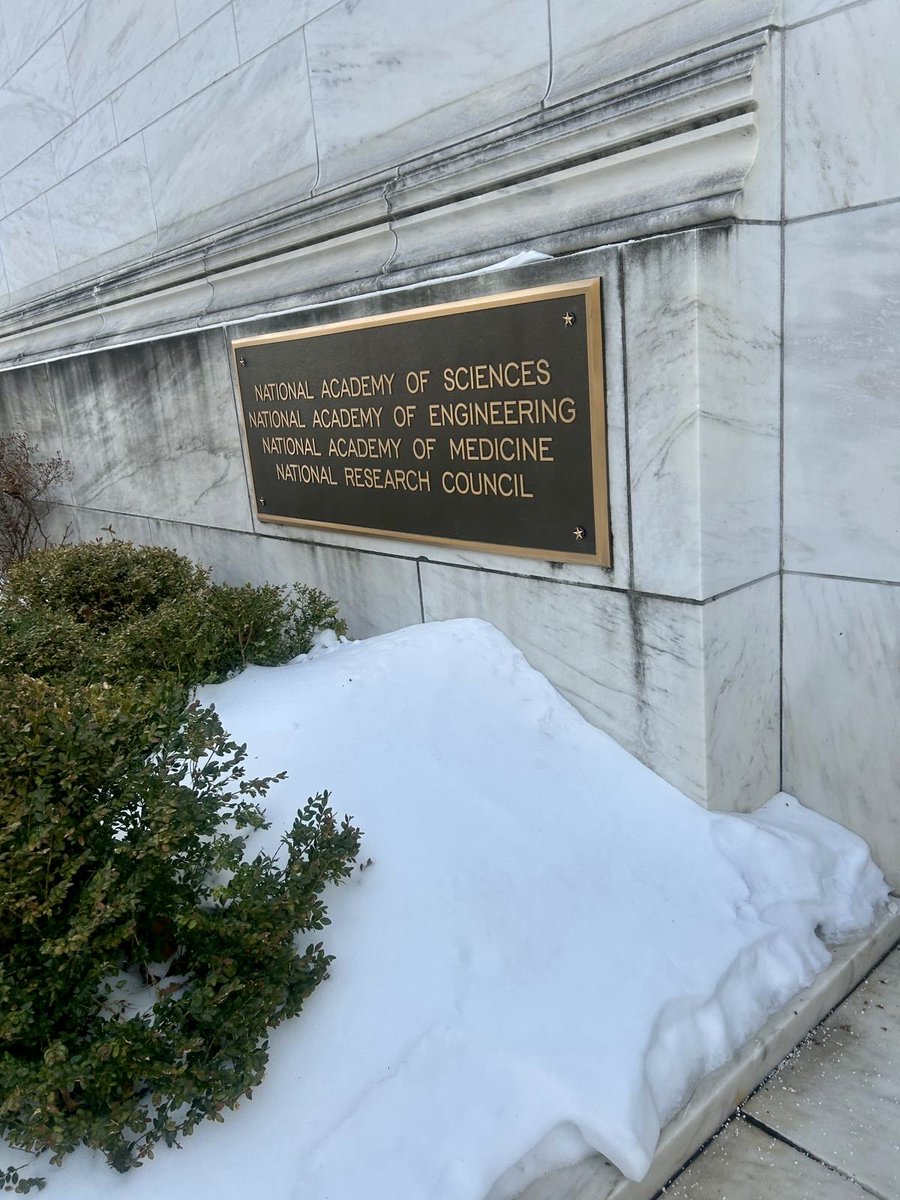 NoRILLA - Mixed-Reality Learning (AI) tweet media