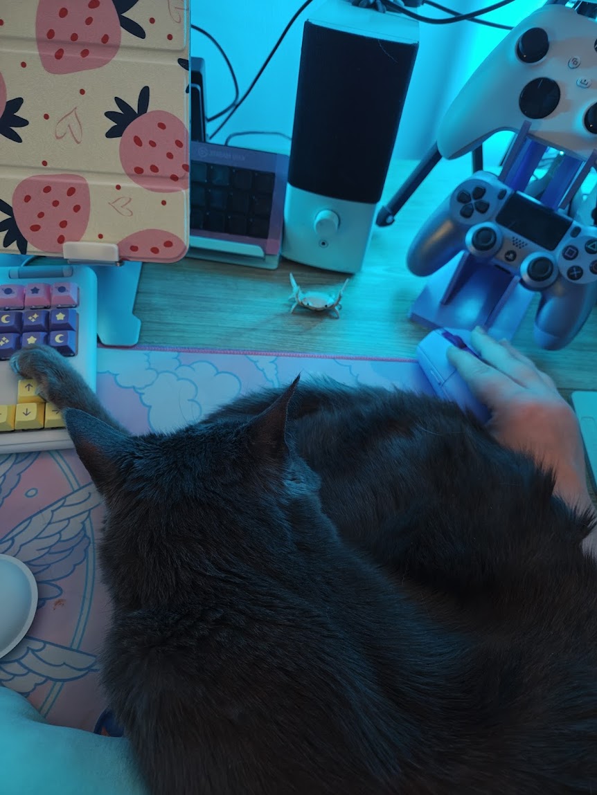 GernNova's tweet photo. It is really hard to rank in an FPS game when your companion won't let you move your mouse more than an inch and keeps turning the camera. https://t.co/HZA7Pk2Yj1