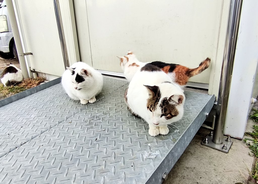 くぼけんC1071日目 東ヨ45b 2日目 東I05b (@donkubota1) / Posts / X