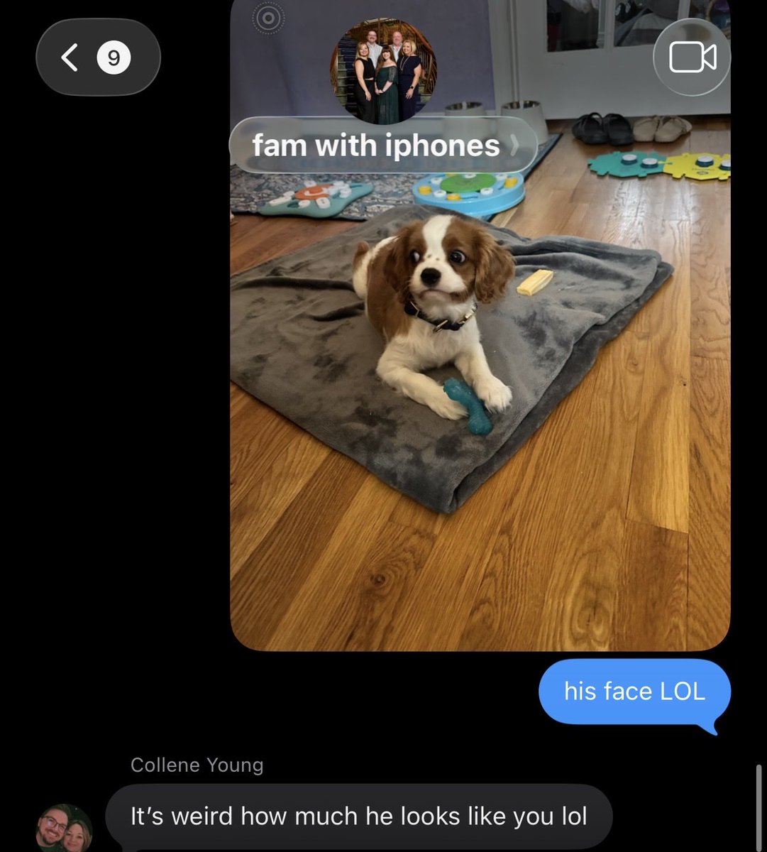 bellesthetics's tweet photo. his face is genuinely frying me why does he actually look like me in dog form https://t.co/ZwQ5Mzo4D3