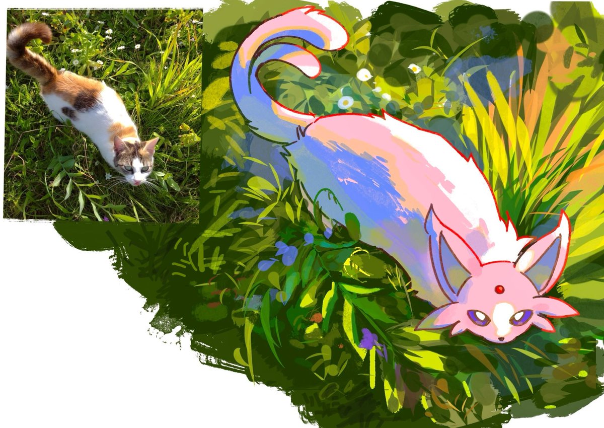 세쾅이 / セクァンイ tweet media